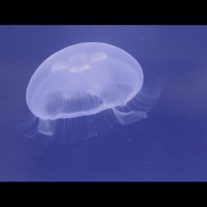 荒牧慶彦＆水江建太のユニットプロジェクト「まっきーとけんた」始動 イメージ画像