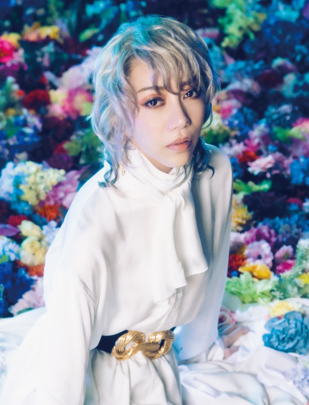 『ヴェラキッカ』美弥るりか・松下優也・古屋敬多・平野綾らのイメージビジュアル＆あらすじ公開 イメージ画像