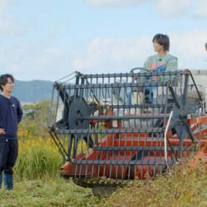 安井謙太郎＆萩谷慧悟が企画　大根島産野菜がふるさと納税返礼品に イメージ画像