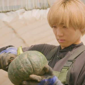 安井謙太郎＆萩谷慧悟が企画　大根島産野菜がふるさと納税返礼品に イメージ画像