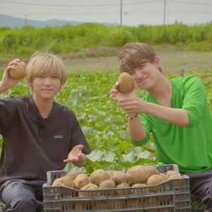 安井謙太郎＆萩谷慧悟が企画　大根島産野菜がふるさと納税返礼品に イメージ画像